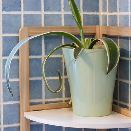 Rifugio Vista Montagne - Parcheggio Privato E A 500m アパート チェルノッビオ